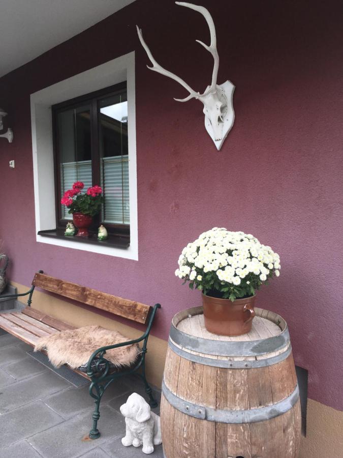 Haus Gsenger Apartamento Abtenau Exterior foto